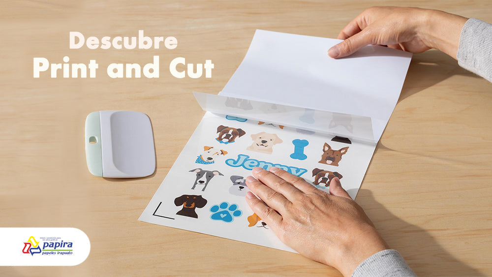 Print and cut cricut