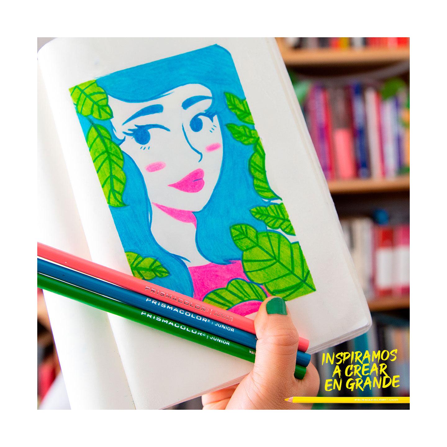 Prismacolor Colores de Madera Junior, 24 Lápices