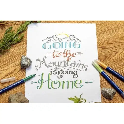 Marcador Plumón Caligrafía De Doble Punta Staedtler 12 Pieza