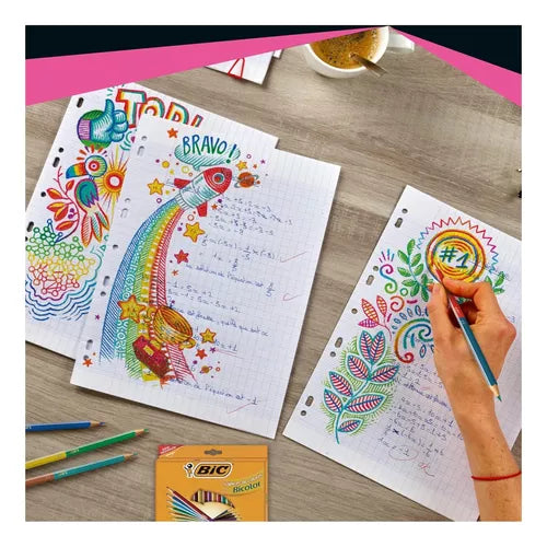 Lápices De Colores Bic Hexagonal 24 Doble Punta 48 Colores