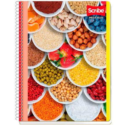Cuaderno Scribe Profesional Mega Raya 100 Hojas
