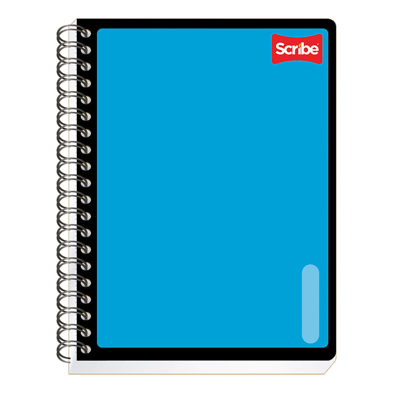 CUADERNO SCRIBE PROFESIONAL SERIE III C5 100 HJS