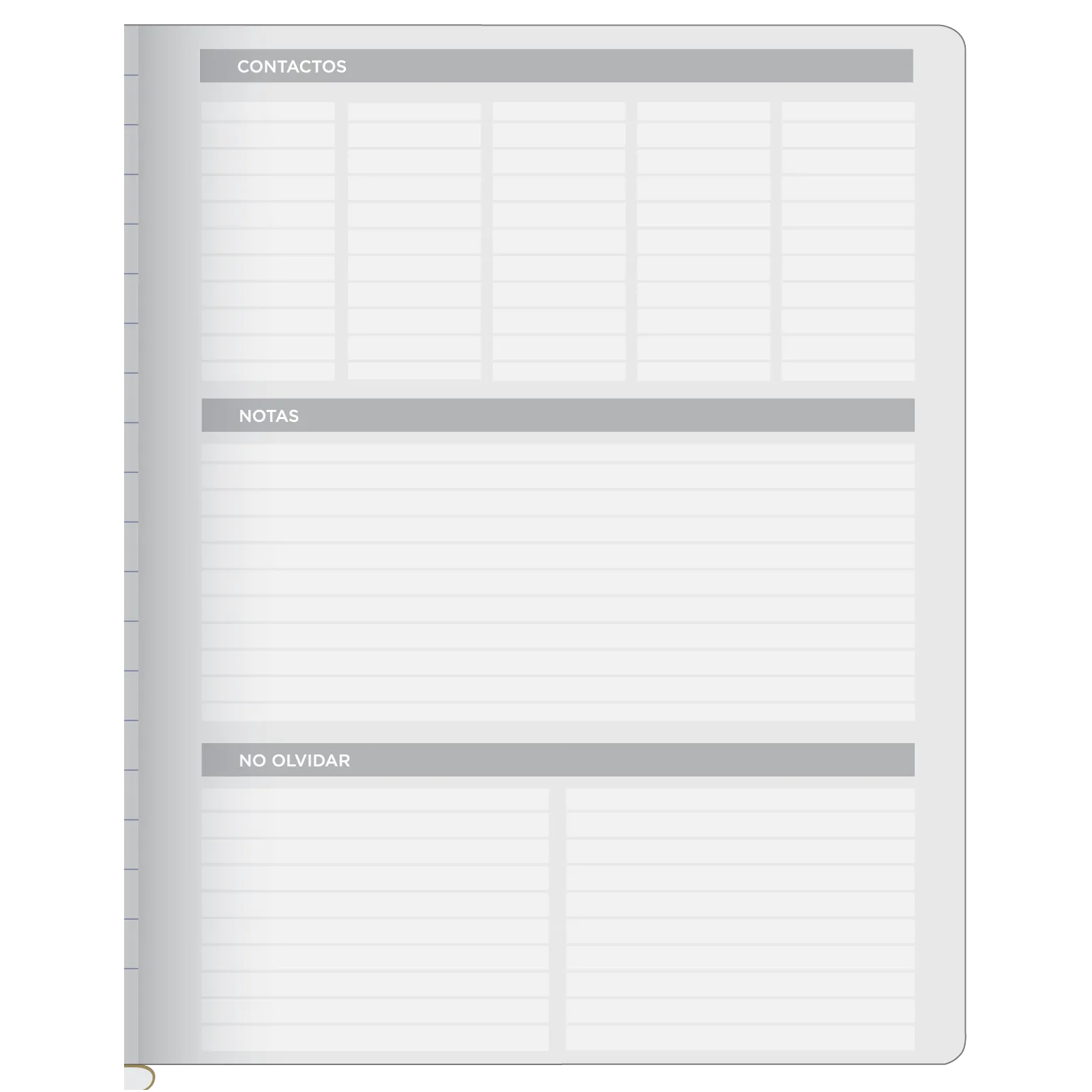 Cuaderno Profesional Cosido Scribe Clasico Doble Raya 100 Hojas