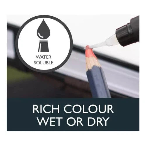 Lápices De Colores Acuarelables Derwent Watercolour 12 Pzs