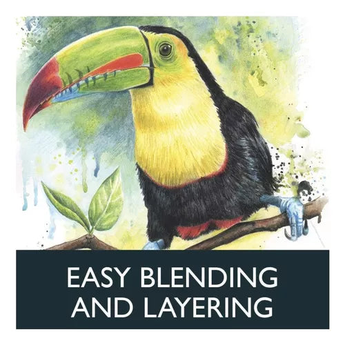 Lápices De Colores Acuarelables Derwent Watercolour 12 Pzs