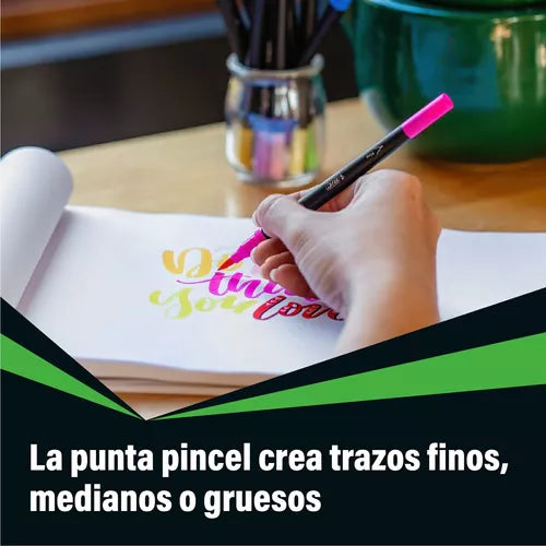 Plumón Bic Intensity Doble Punta Punto Fino Y Pincel 5 Pzas