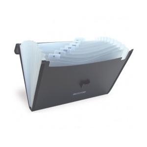 Esselte Archivo Expandible de Plástico F136, Cierre con Broche, 13 Divisiones, Negro