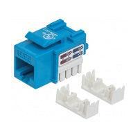 Intellinet Jack Categoría 6, RJ-45, Azul