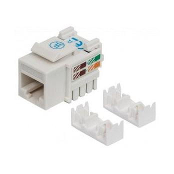 Intellinet Jack Categoría 6, RJ-45, Blanco