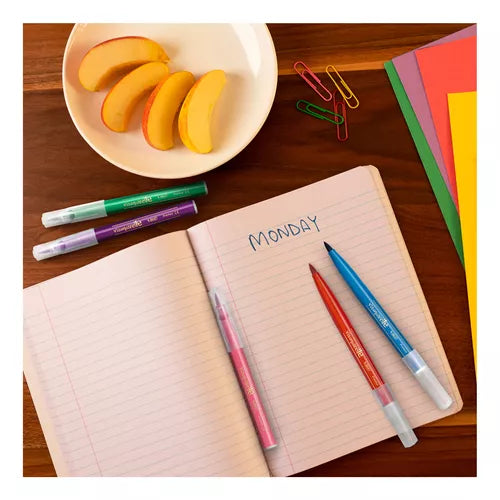 Plumón Bic Intensity Punta Pincel Surtido De Colores 5 Pzas