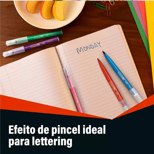 Plumón Bic Intensity Punta Pincel Surtido De Colores 5 Pzas