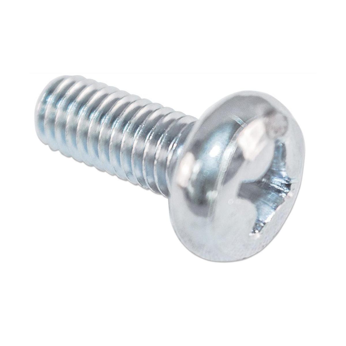 Intellinet Paquete de Tornillos M6 y Tuercas Enjaulada, 50 Juegos