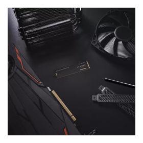 SSD WD WDS200T3X0E