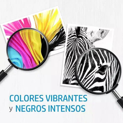 Kit Cartucho De Tinta Hp 667 Ink Advantage Negro Y Tricolor