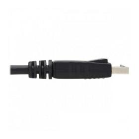 Cable Tripp Lite P580-006