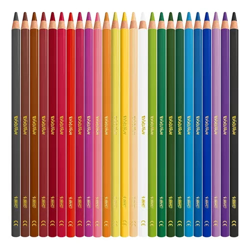 Lápices De Colores Bic Evolution Mina Gruesa 4 Mm 24 Piezas