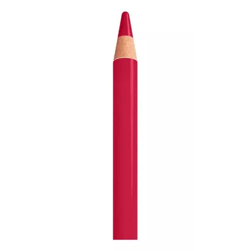 Lápices De Colores Bic Evolution Mina Gruesa 4 Mm 24 Piezas