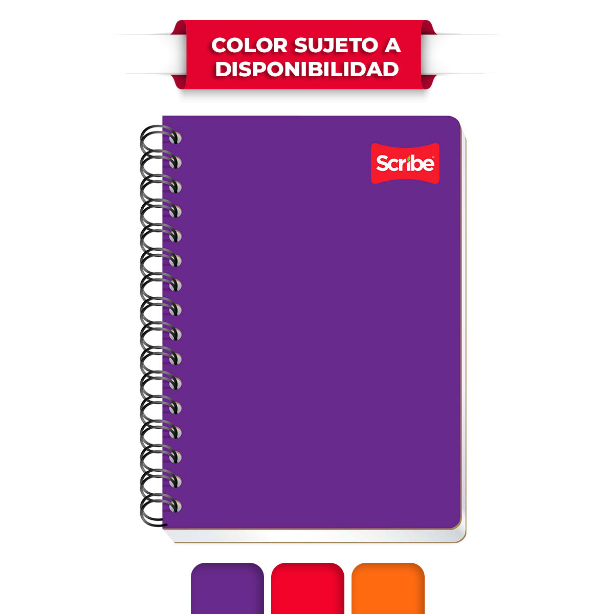 CUADERNO SCRIBE FRANCES CLASICO RAYA 100 HJS