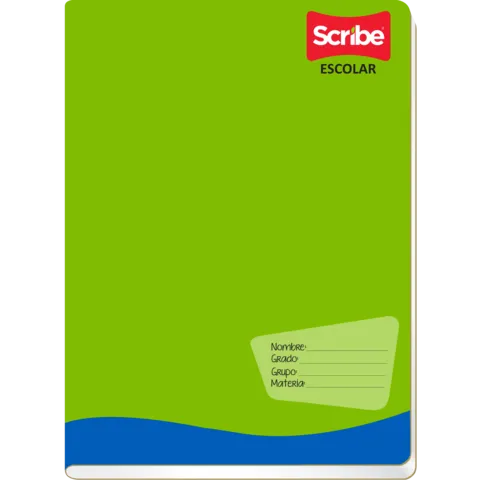 CUADERNO SCRIBE FRANCES GRAPADO C5 100 HJS