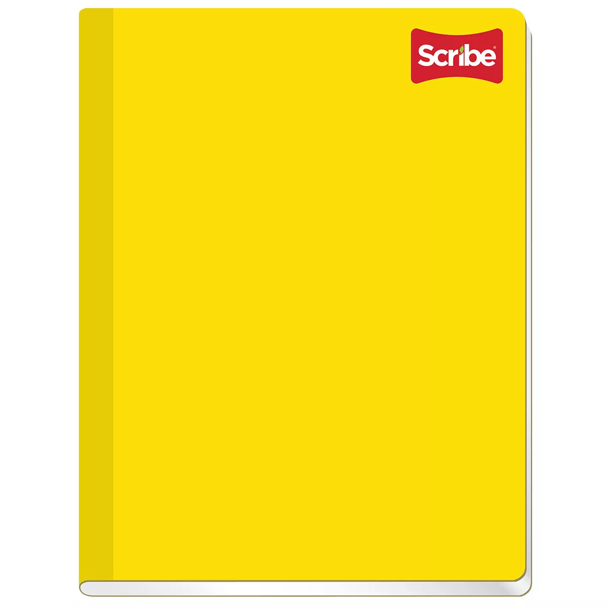 CUADERNO SCRIBE PROFESIONAL COSIDO CLASICO C5 100 HJS