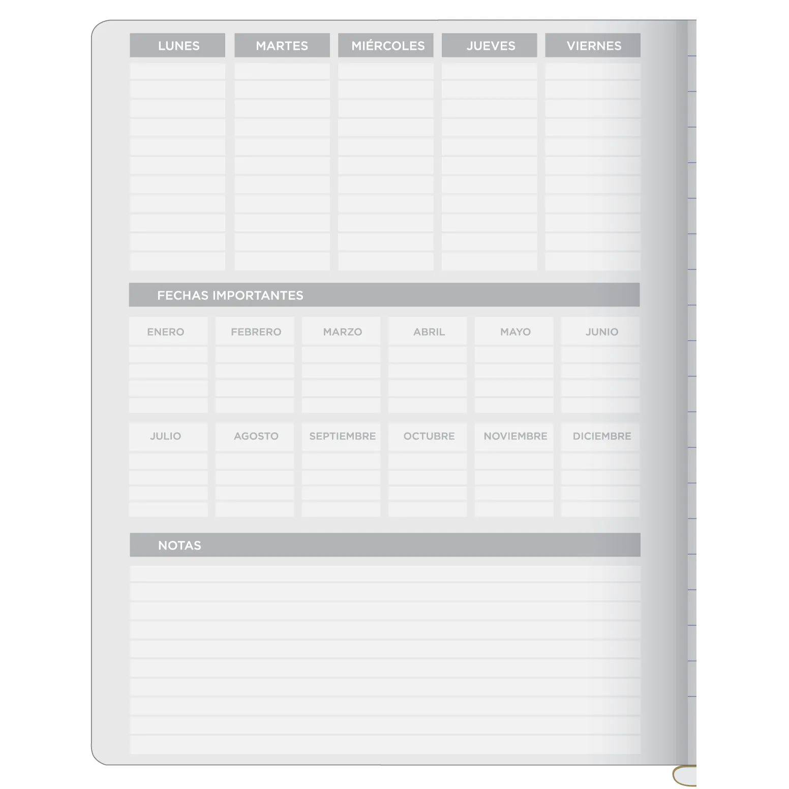 Cuaderno Profesional Cosido Scribe Clasico Doble Raya 100 Hojas