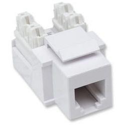 Intellinet 210843 Jack para Telefonía de Impacto, RJ11/12, Blanco